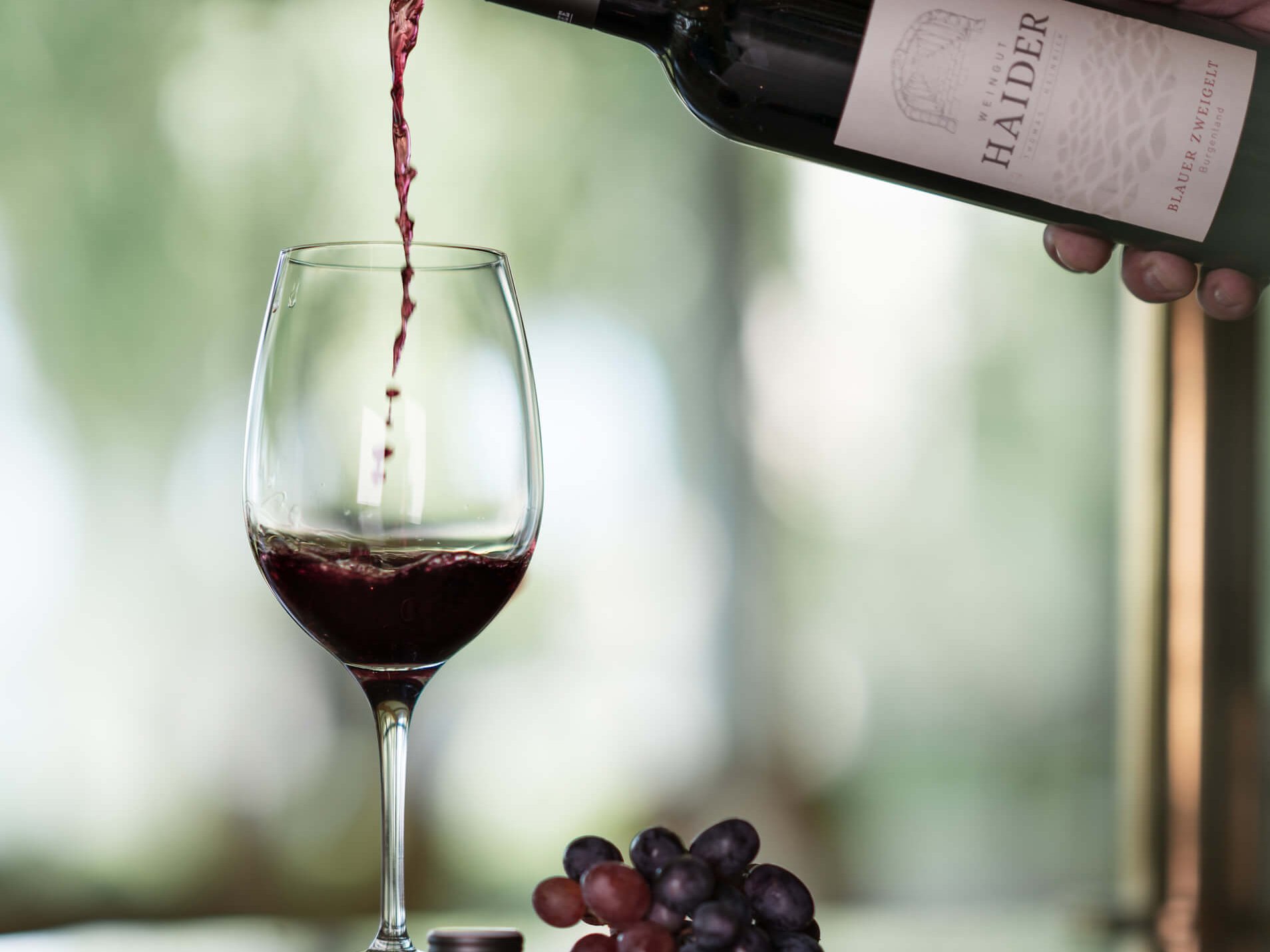 Wein Rotwein wird in ein Weinglas gegossen